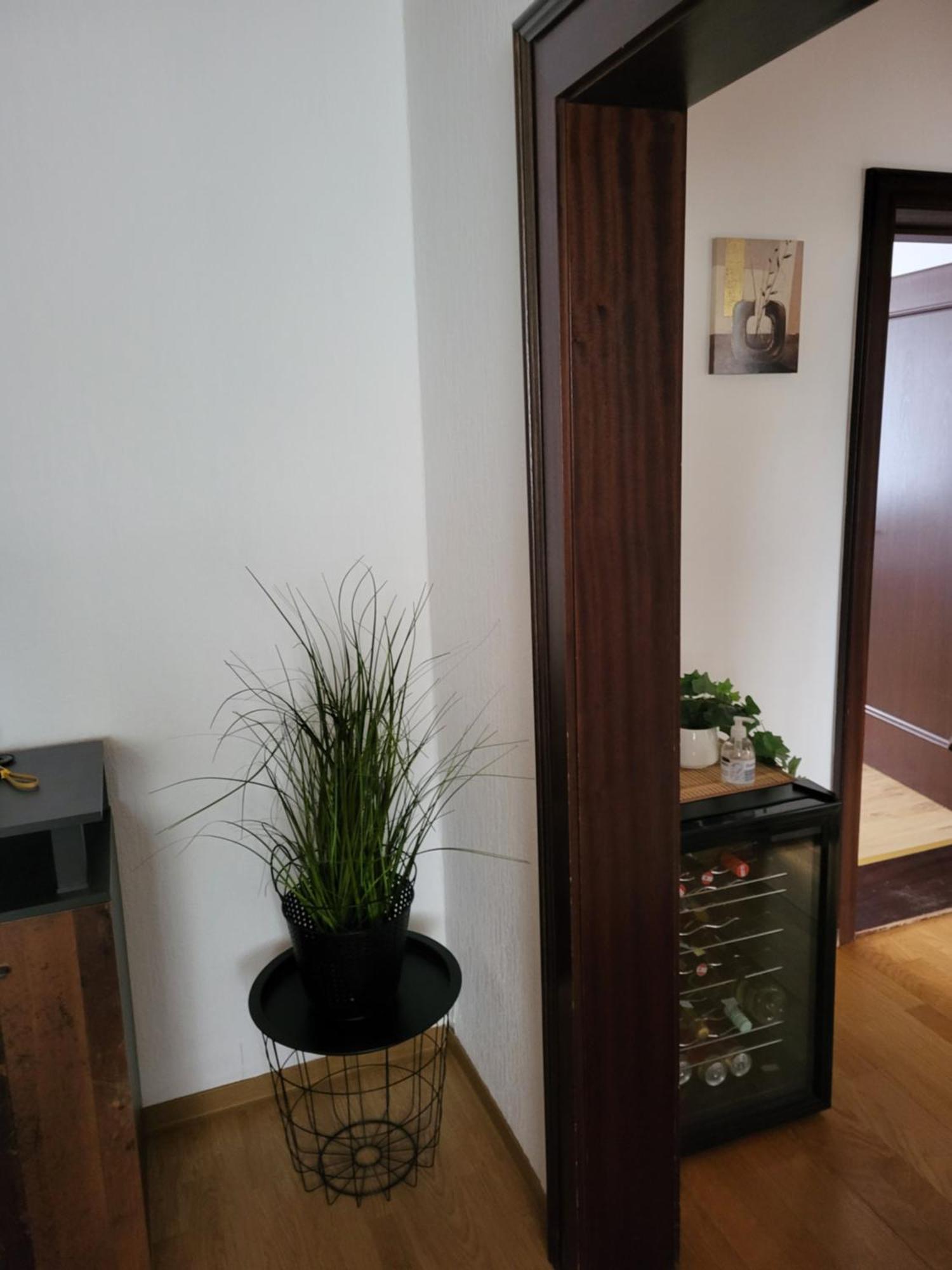 Gemuetliches Wohnen In Frauenkirchen Im Burgenland Apartman Kültér fotó